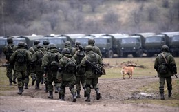 Nga phủ nhận tăng binh sĩ dọc biên giới Ukraine